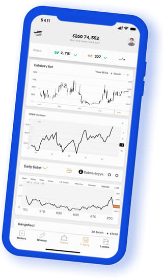 Ridge Kapitvex mobile web app displayed on a handheld device